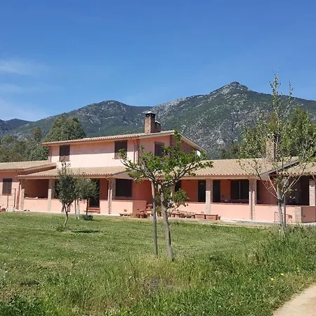 Nel Villa *