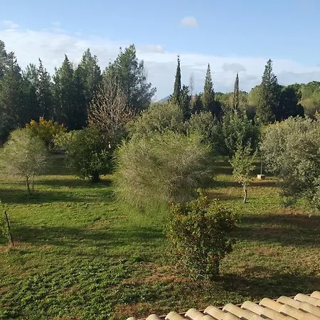 Nel * Iglesias